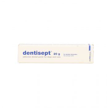 DENTISEPT-DENTIHEX PASTA 20 G