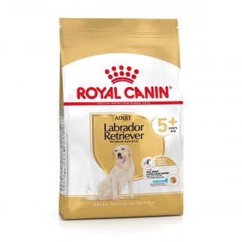 ROYAL CANIN LABRADOR RETRIEVER ADULT KARMA SUCHA DLA PSÓW DOROSŁYCH RASY LABRADOR RETRIEVER, POWYŻEJ 5 ROKU ŻYCIA 12 KG