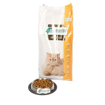 4T VETERINARY DIET CAT RENAL 2 KG