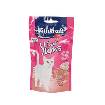 VITAKRAFT PRZYSMAK DLA KOTA YUMS LEBERWURST WĄTROBIANKA 40G 2458898