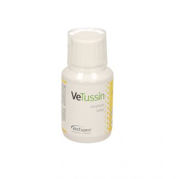 VETUSSIN 100 ML