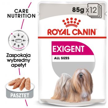 ROYAL CANIN CCN EXIGENT KARMA MOKRA - PASZTET DLA PSÓW DOROSŁYCH, WYBREDNYCH 85 G