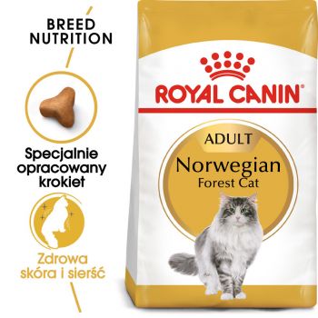 ROYAL CANIN NORVEGIAN FOREST CAT ADULT KARMA SUCHA DLA KOTÓW DOROSŁYCH RASY NORWESKI LEŚNY 2 KG