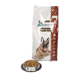 4T VETERINARY DIET DOG INTESTINAL  2 KG