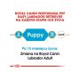 ROYAL CANIN LABRADOR RETRIEVER PUPPY KARMA SUCHA DLA SZCZENIĄT DO 15 MIESIĄCA, RASY LABRADOR RETRIEVER