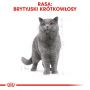 ROYAL CANIN BRITISH SHORTHAIR KARMA MOKRA W SOSIE DLA KOTÓW DOROSŁYCH RASY BRYTYJSKI KRÓTKOWŁOSY 85 G