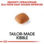 ROYAL CANIN Golden Retriever Adult karma sucha dla psów dorosłych rasy golden retriever 12 KG
