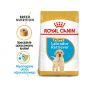 ROYAL CANIN LABRADOR RETRIEVER PUPPY KARMA SUCHA DLA SZCZENIĄT DO 15 MIESIĄCA, RASY LABRADOR RETRIEVER