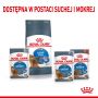 ROYAL CANIN Light Weight Care karma sucha dla kotów dorosłych, utrzymanie prawidłowej masy ciała 3,5 KG