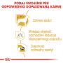 ROYAL CANIN Maltese Adult karma sucha dla psów dorosłych rasy maltańczyk 0,5 KG