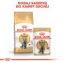 ROYAL CANIN BRITISH SHORTHAIR KARMA MOKRA W SOSIE DLA KOTÓW DOROSŁYCH RASY BRYTYJSKI KRÓTKOWŁOSY 85 G