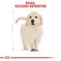 ROYAL CANIN GOLDEN RETRIEVER PUPPY KARMA SUCHA DLA SZCZENIĄT DO 15 MIESIĄCA, RASY GOLDEN RETRIEVER 12 KG