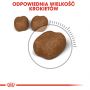 ROYAL CANIN Oral Care karma sucha dla kotów dorosłych, redukująca odkładanie kamienia nazębnego 3,5 KG