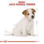 ROYAL CANIN JACK RUSSELL TERRIER PUPPY  KARMA SUCHA DLA SZCZENIĄT DO 10 MIESIĄCA, RASY JACK RUSSEL TERRIER 0,5 KG
