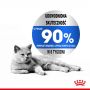 ROYAL CANIN Light Weight Care karma sucha dla kotów dorosłych, utrzymanie prawidłowej masy ciała 3,5 KG