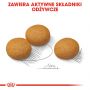 ROYAL CANIN CCN MAXI DERMACOMFORT KARMA SUCHA DLA PSÓW DOROSŁYCH, RAS DUŻYCH O WRAŻLIWEJ SKÓRZE 3 KG