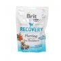 BRIT CARE DOG FUNCTIONAL SNACK RECOVERY HERRING 150G