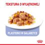 ROYAL CANIN CAT APPETITE CONTROL W GALARETCE 85G SASZETKA