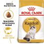 ROYAL CANIN RAGDOL ADULT KARMA SUCHA DLA KOTÓW DOROSŁYCH RASY RAGDOLL 10 KG