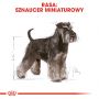 ROYAL CANIN Miniature Schnauzer Adult karma sucha dla psów dorosłych rasy schnauzer miniaturowy 3 KG