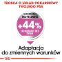 ROYAL CANIN CCN MEDIUM RELAX CARE KARMA SUCHA DLA PSÓW DOROSŁYCH, RAS ŚREDNICH, NARAŻONYCH NA DZIAŁANIE STRESU 3 KG