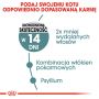 ROYAL CANIN Hairball Care karma sucha dla kotów dorosłych, eliminacja kul włosowych 10 KG