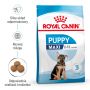 ROYAL CANIN MAXI PUPPY KARMA SUCHA DLA SZCZENIĄT, OD 2 DO 15 MIESIĄCA ŻYCIA, RAS DUŻYCH 15 KG