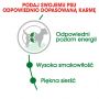 ROYAL CANIN Mini Adult karma sucha dla psów dorosłych, ras małych 4 KG