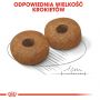 ROYAL CANIN Medium Ageing karma sucha dla psów dojrzałych po 10 roku życia, ras średnich 15 KG
