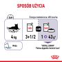 ROYAL CANIN CAT APPETITE CONTROL W GALARETCE 85G SASZETKA