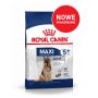 ROYAL CANIN Maxi Adult karma sucha dla psów starszych, od 5 do 8 roku życia, ras dużych 15 KG