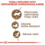 ROYAL CANIN AGEING +12 KARMA SUCHA DLA KOTÓW DOJRZAŁYCH, STERYLIZOWANYCH 4 KG
