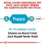 ROYAL CANIN JACK RUSSELL TERRIER PUPPY  KARMA SUCHA DLA SZCZENIĄT DO 10 MIESIĄCA, RASY JACK RUSSEL TERRIER 0,5 KG