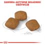 ROYAL CANIN CCN MEDIUM RELAX CARE KARMA SUCHA DLA PSÓW DOROSŁYCH, RAS ŚREDNICH, NARAŻONYCH NA DZIAŁANIE STRESU 3 KG