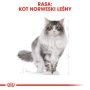 ROYAL CANIN Norvegian Forest Cat Adult karma sucha dla kotów dorosłych rasy norweski leśny 10 KG