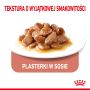 ROYAL CANIN CAT APPETITE CONTROL W SOSIE 85G