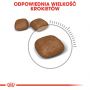 ROYAL CANIN Urinary Care karma sucha dla kotów dorosłych, ochrona dolnych dróg moczowych 10 KG