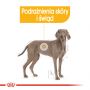 ROYAL CANIN CCN MAXI DERMACOMFORT KARMA SUCHA DLA PSÓW DOROSŁYCH, RAS DUŻYCH O WRAŻLIWEJ SKÓRZE 3 KG
