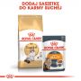 ROYAL CANIN RAGDOL ADULT KARMA SUCHA DLA KOTÓW DOROSŁYCH RASY RAGDOLL 10 KG