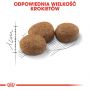ROYAL CANIN Sterilised karma sucha dla kotów dorosłych, sterylizowanych 2 KG