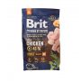 BRIT PREMIUM BY NATURE ADULT MEDIUM BREED 3KG