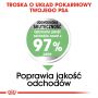 ROYAL CANIN CCN MAXI DIGESTIVE CARE KARMA SUCHA DLA PSÓW DOROSŁYCH, RAS DUŻYCH O WRAŻLIWYM PRZEWODZIE POKARMOWYM 3 KG