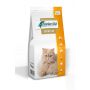 4T VETERINARY DIET CAT RENAL 2 KG