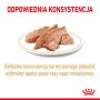 ROYAL CANIN POMERANIAN ADULT KARMA MOKRA - PASZTET, DLA PSÓW DOROSŁYCH RASY SZPIC MINIATUROWY 85G