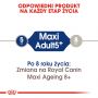 ROYAL CANIN Maxi Adult karma sucha dla psów starszych, od 5 do 8 roku życia, ras dużych 15 KG