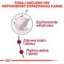 ROYAL CANIN Medium Ageing karma sucha dla psów dojrzałych po 10 roku życia, ras średnich 15 KG