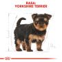 ROYAL CANIN YORKSHIRE TERRIER PUPPY KARMA SUCHA DLA SZCZENIĄT DO 10 MIESIĄCA, RASY YORKSHIRE TERRIER 7,5 KG