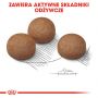 ROYAL CANIN CCN MAXI DIGESTIVE CARE KARMA SUCHA DLA PSÓW DOROSŁYCH, RAS DUŻYCH O WRAŻLIWYM PRZEWODZIE POKARMOWYM 3 KG