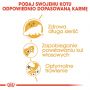 ROYAL CANIN PERSIAN ADULT KARMA SUCHA DLA KOTÓW DOROSŁYCH RASY PERSKIEJ 0,4 KG