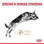 ROYAL CANIN GERMAN SHEPHERD ADULT 5+ KARMA SUCHA DLA PSÓW DOROSŁYCH RASY OWCZAREK NIEMIECKI, POWYŻEJ 5 ROKU ŻYCIA 12KG